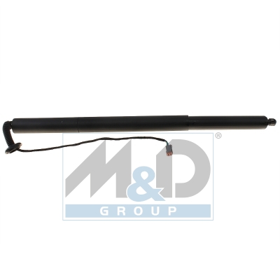 [301128] Electric tailgate lift strut