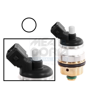 [13210] Euro 4 white LPG injector